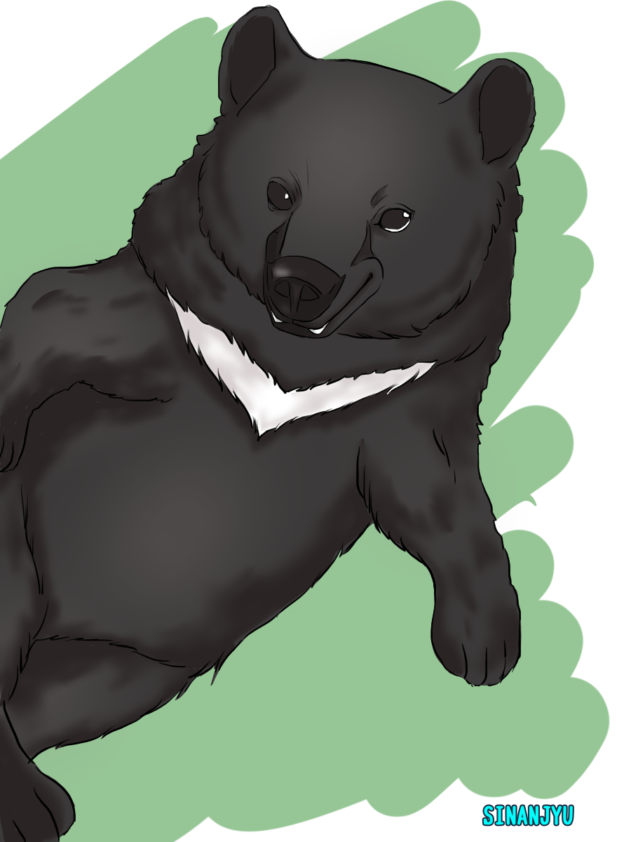 ツキノワグマさん シナンジュ フル フロンタル搭乗中 イラスト Art Street アートストリート