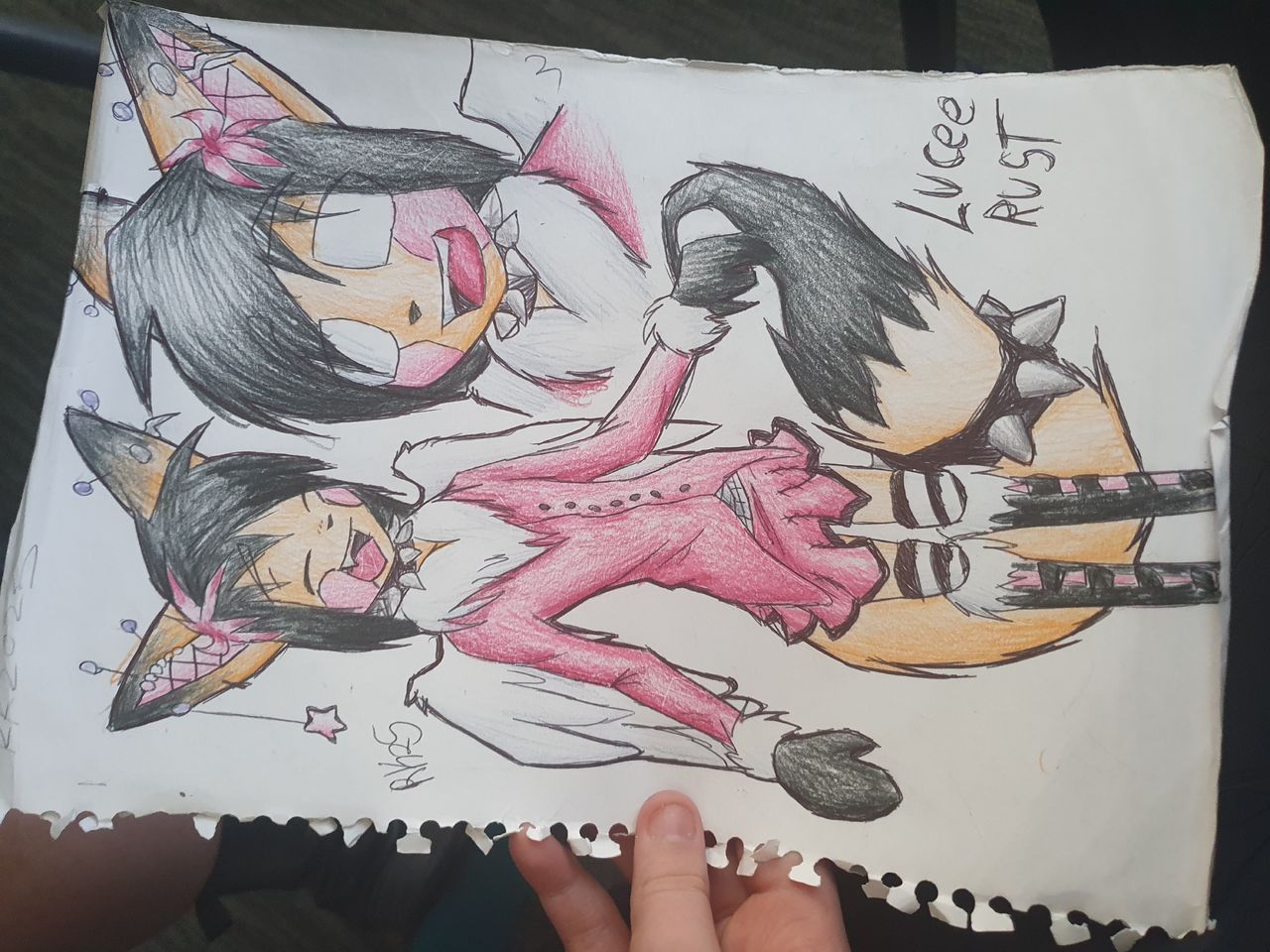 Lucee  Illust of Rikki furry traditionalart furryoc Sigma furryartist AustralianKnots Pee_your_pants Shart editthistagplz