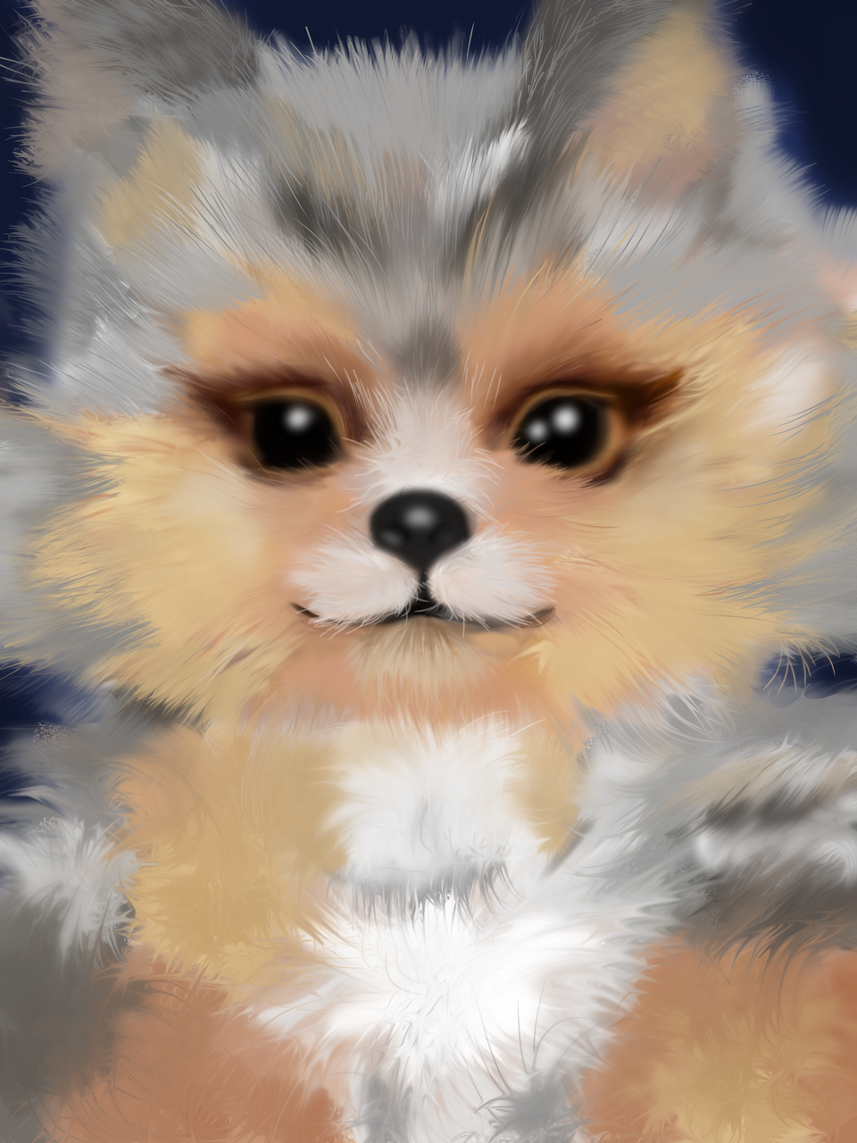 Coco Pom Illust of Aikaleemay10 animal dog cute puppy Medibang paint Fur pomeranian