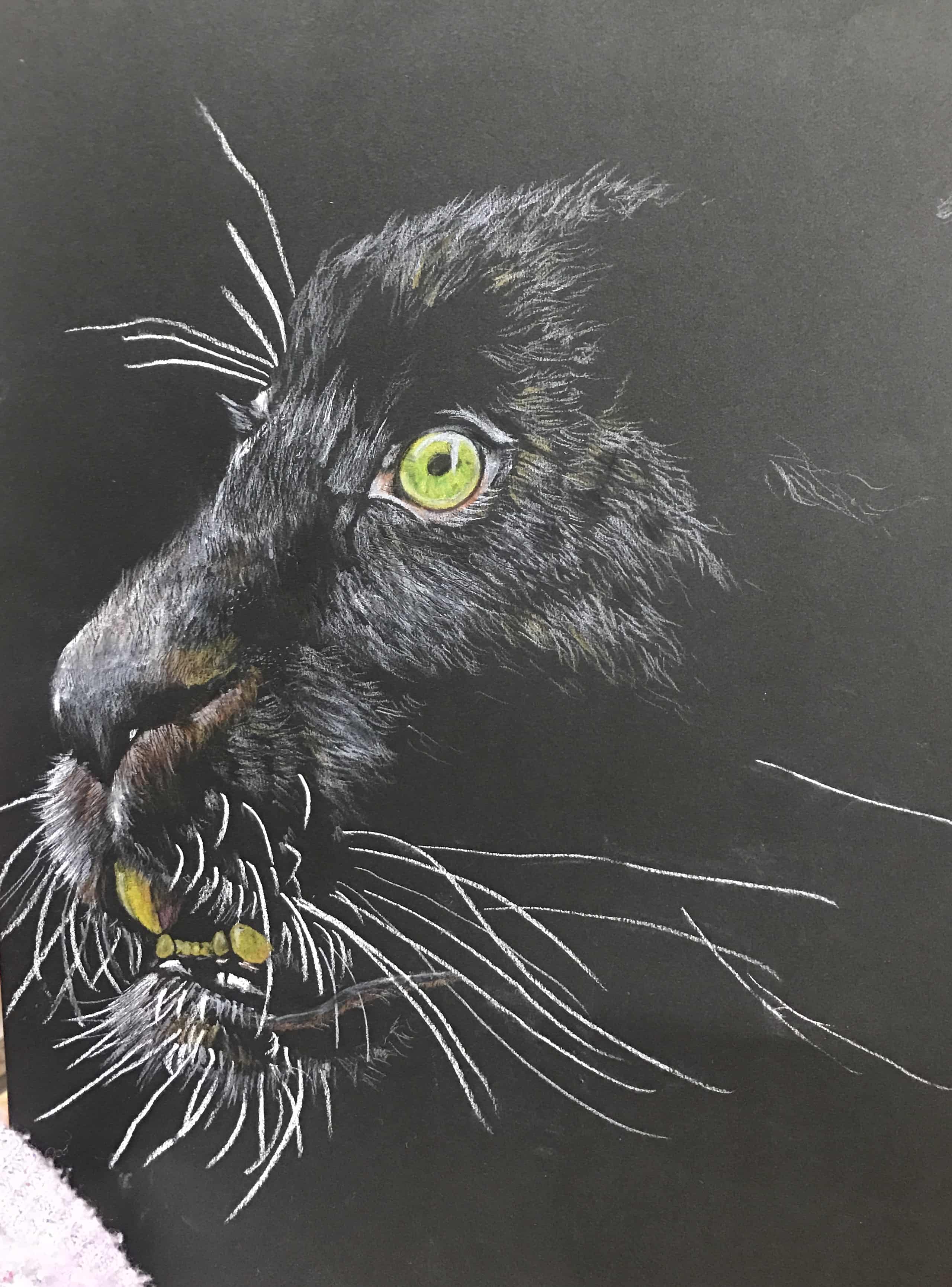 暗闇の中の黒豹 なっちゃん イラスト Art Street アートストリート