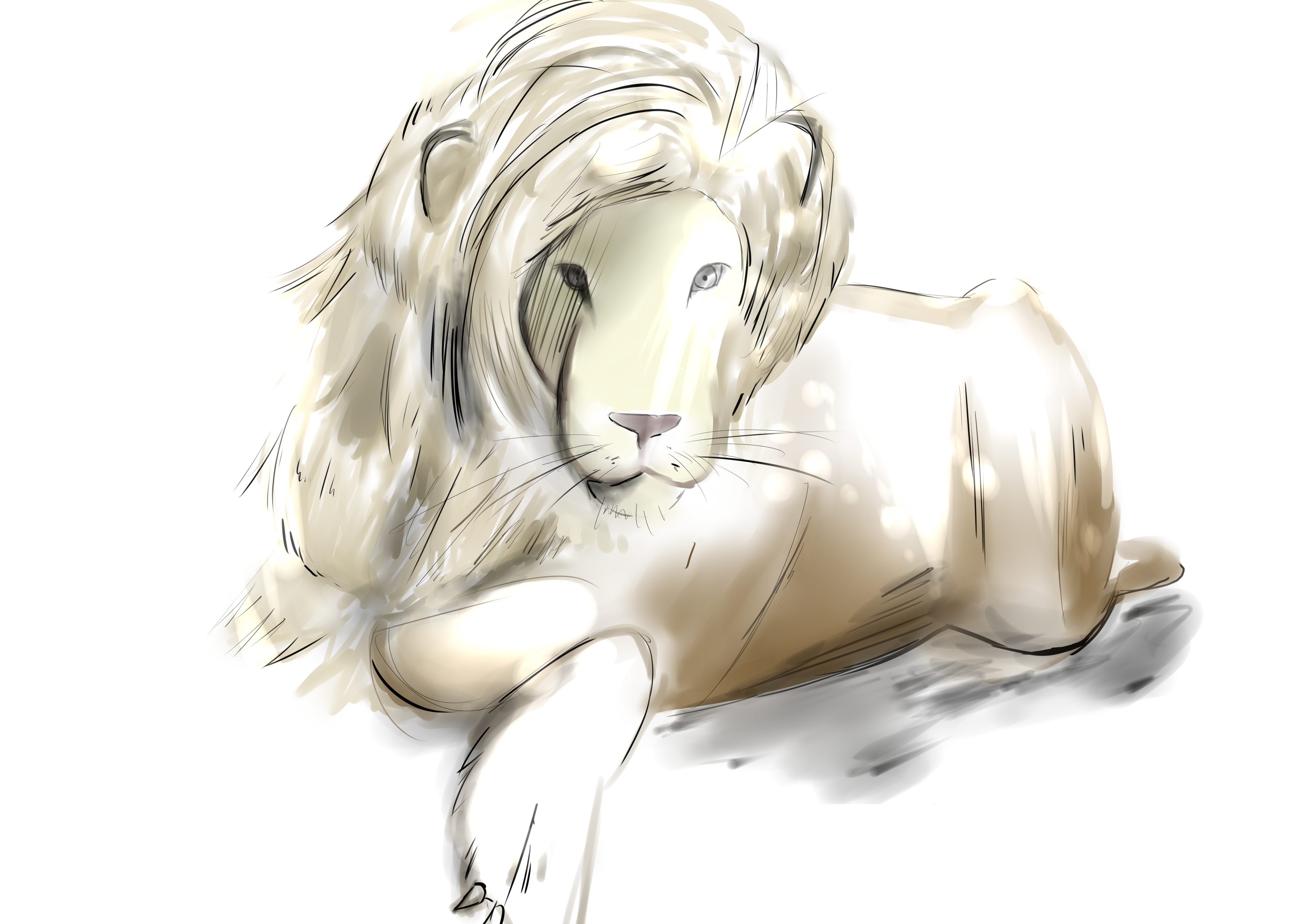 4fbe4021-0d89-4285-ac63-