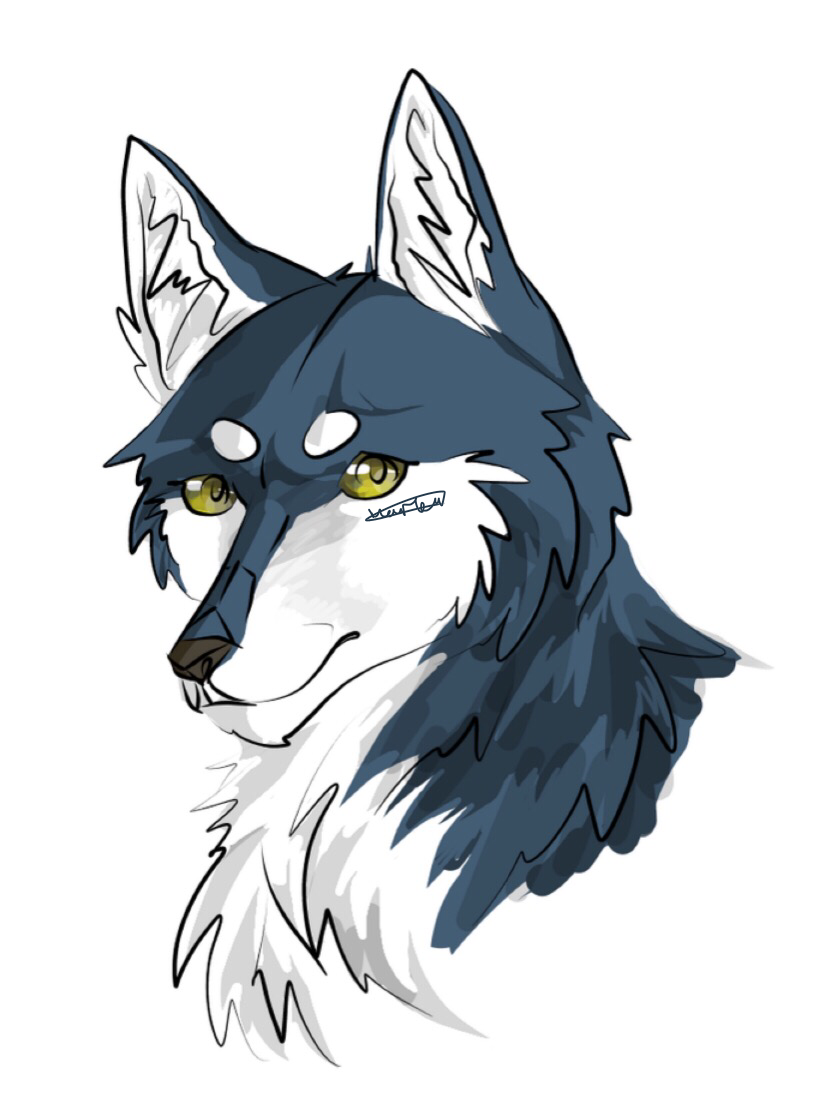 Wolf Mariam Illustrations Art Street