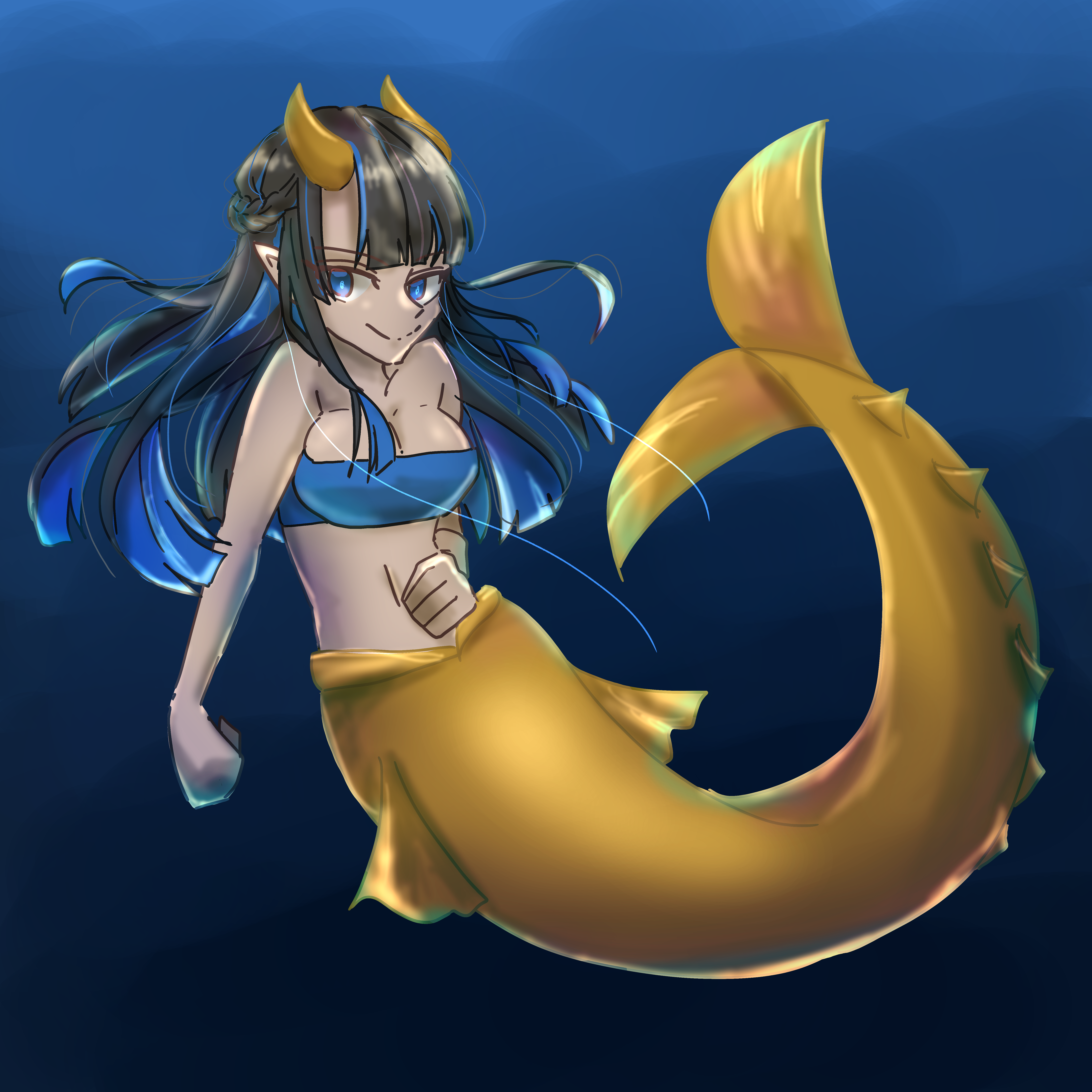 鯱の人魚 mukann - Illustrations ART street