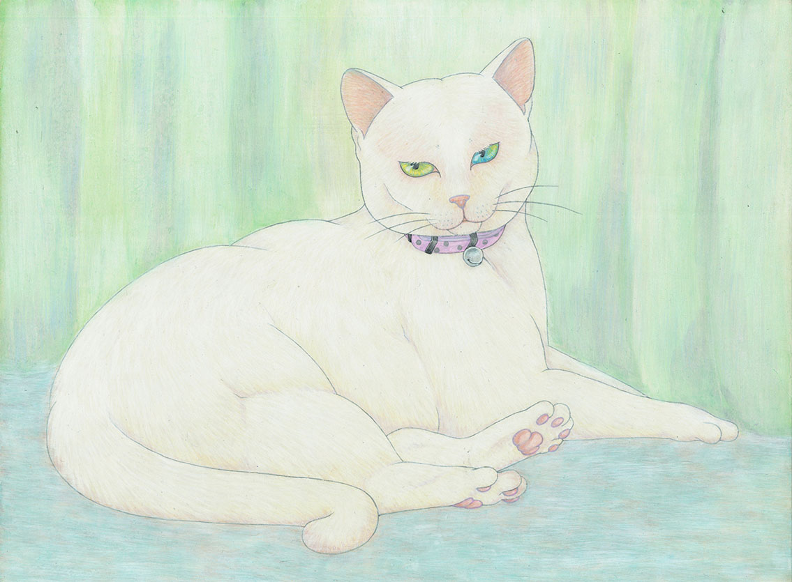 もち猫 ハチノス イラスト Art Street アートストリート