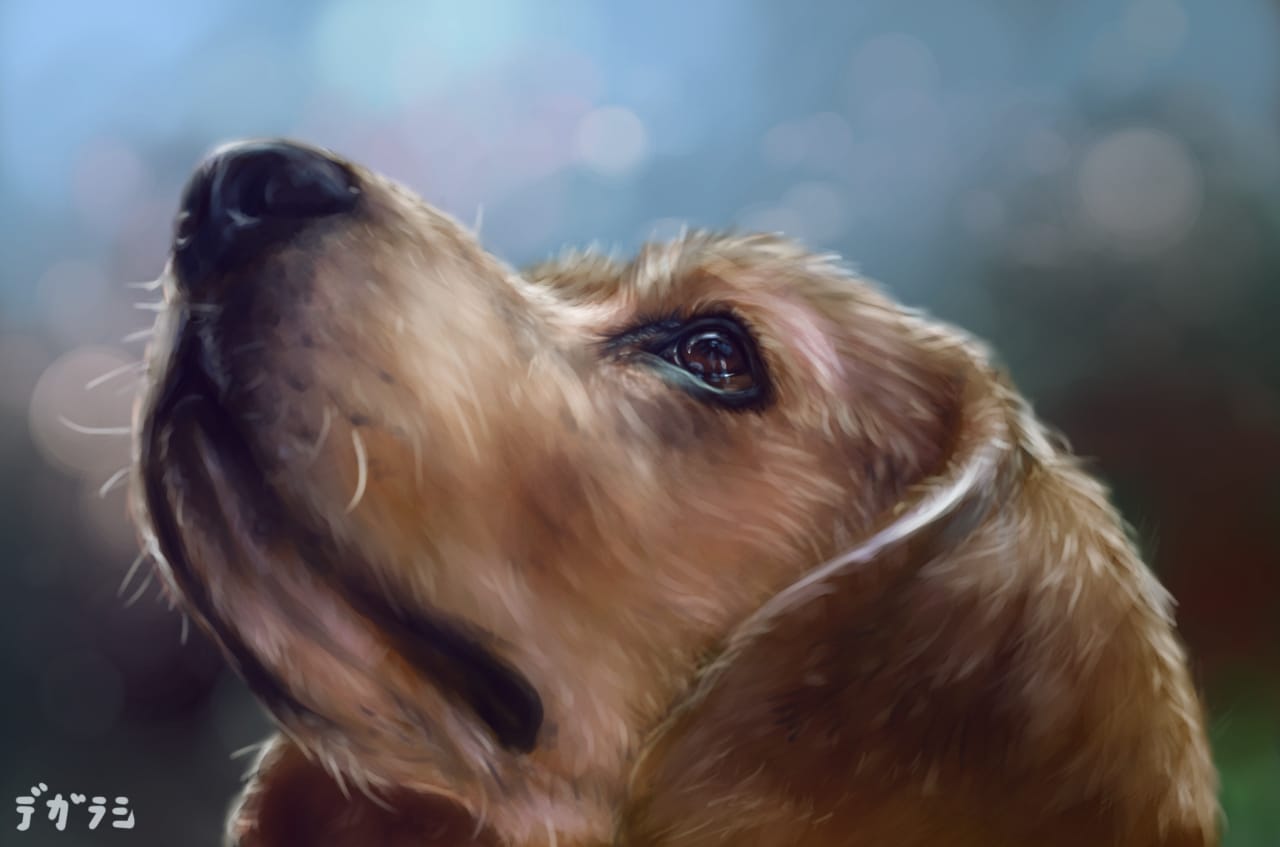 犬マズル でがらし Illustrations Art Street