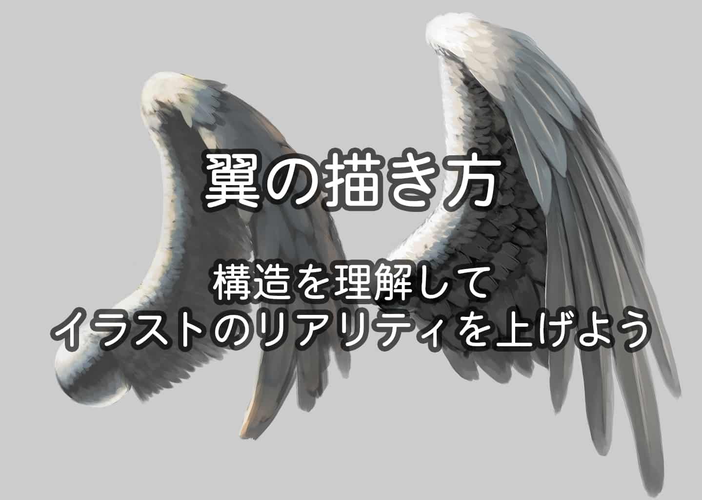 翼の描き方 ちょい構造編 0 1 イラスト Art Street アートストリート