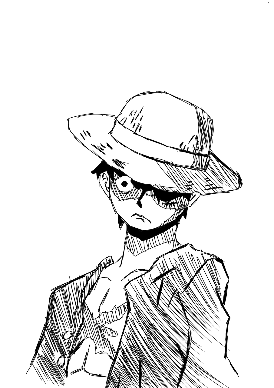 的插画 character onepiece