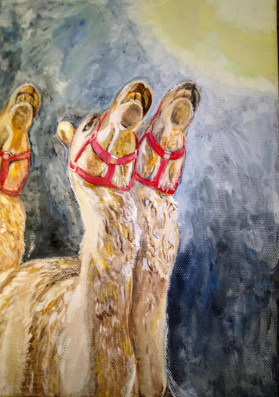 ムーンライトらくだ Riem 插畫 Art Street