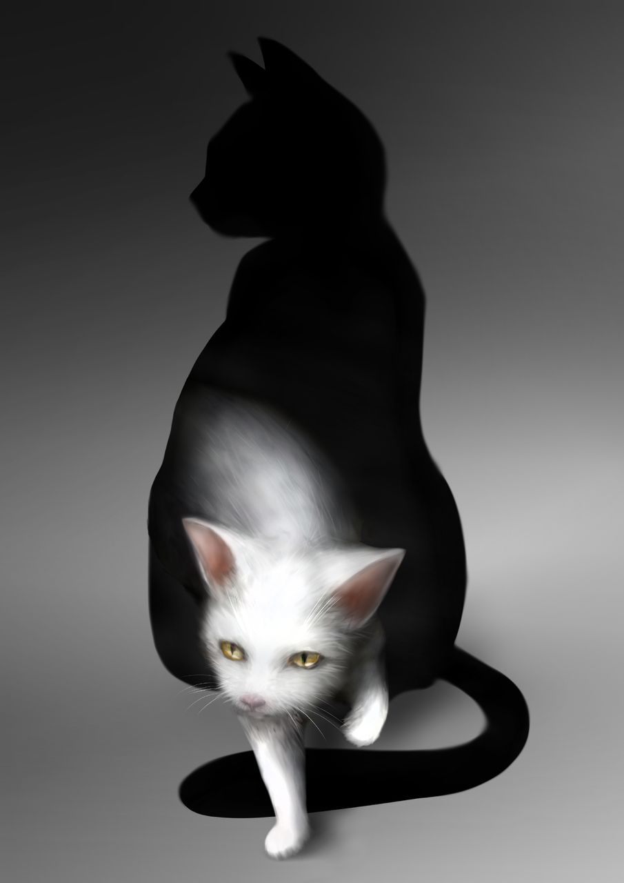 ネコ Illust of ｳﾞｧﾆﾀｽﾞ-Vanitaz cat 描いてみた illustration