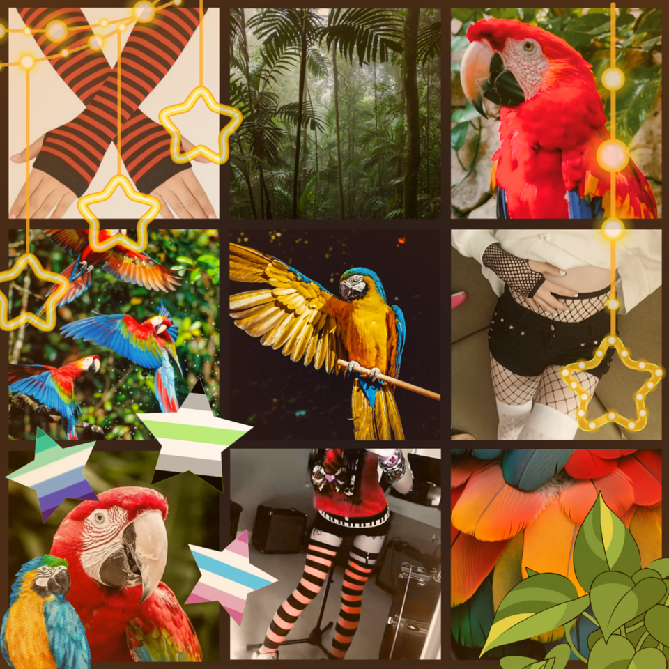 Woohoo persona time Illust of ☆-「TELAMON」-☆ silly persona parrot femboy