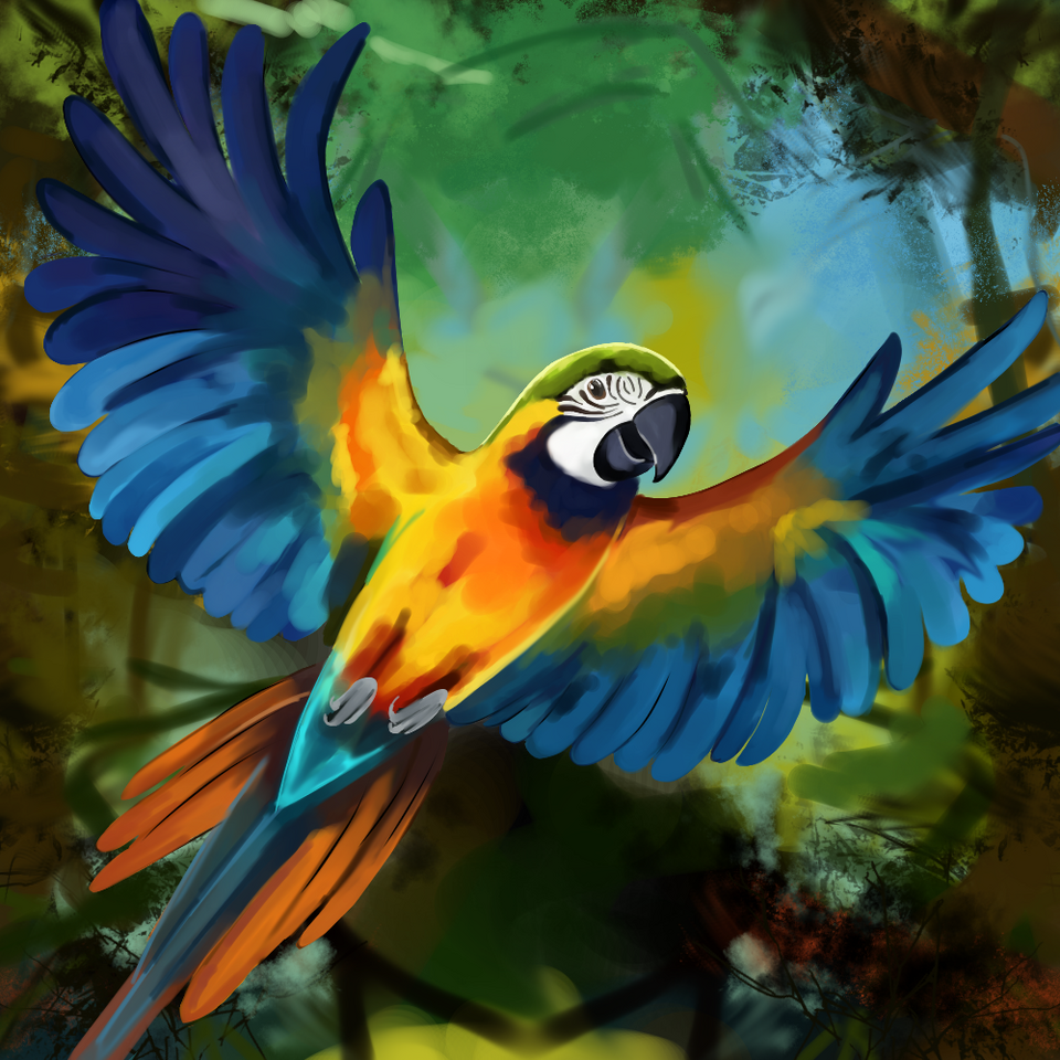 Parrot  Illust of Milly drawing art original cute medibangpaint digital oc