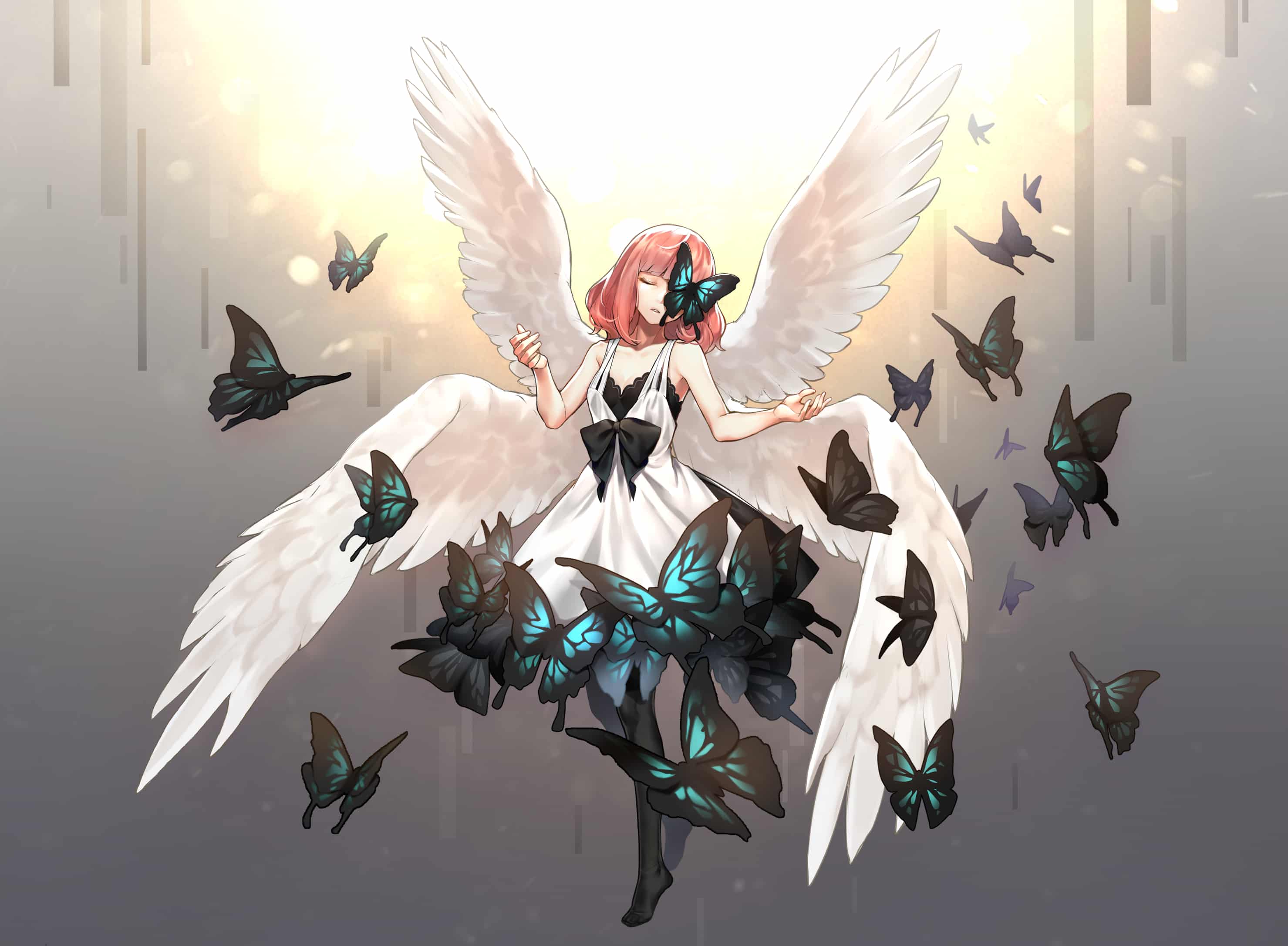 羅夏之蝶 Tarantulaines - イラスト ART street (アートストリート)