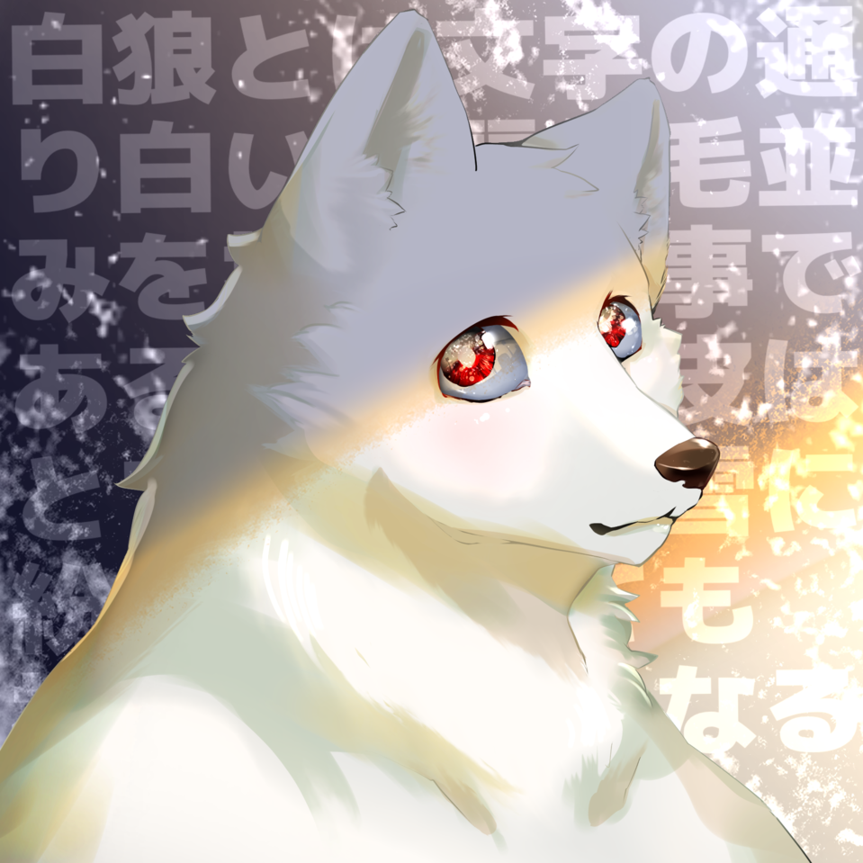 白狼 カワトゥー - Illustrations ART street