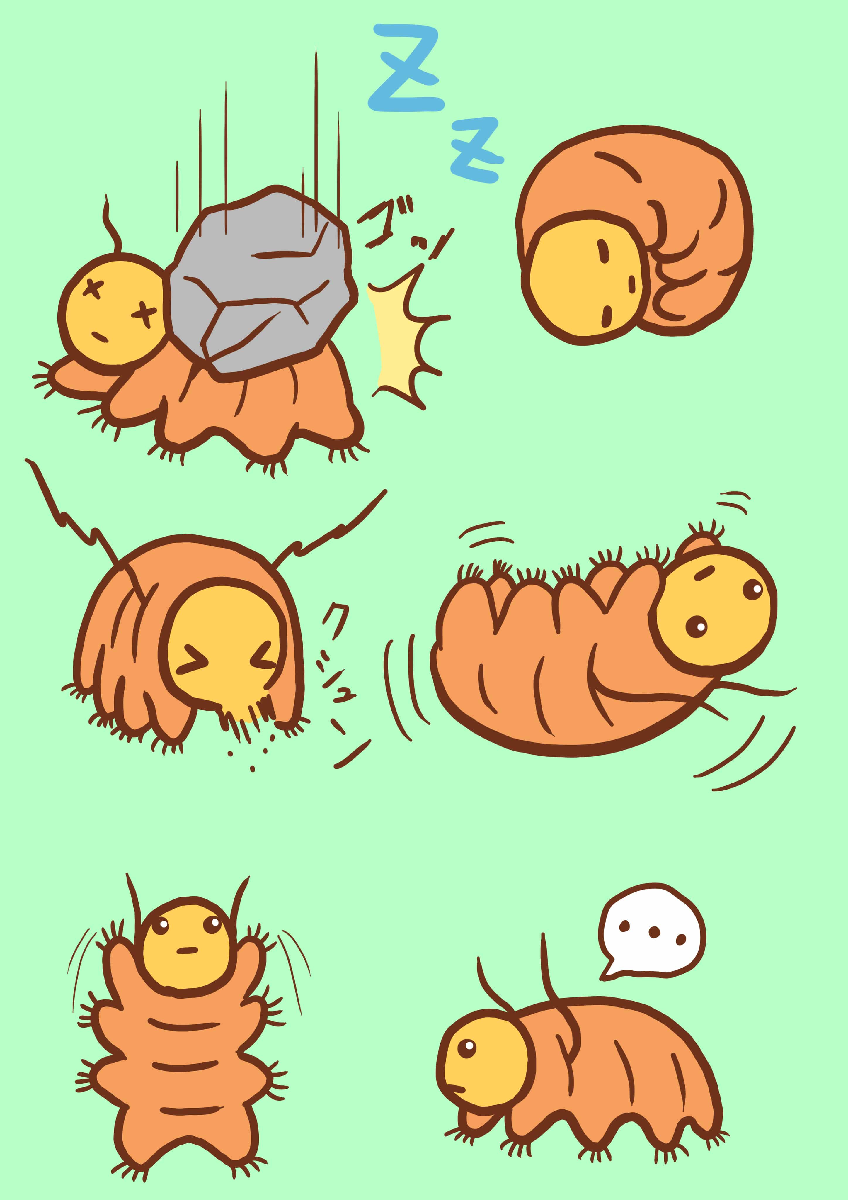 クマムシマクシマム キカッツ Illustrations Art Street クマムシマクシマム キカッツ Illustrations Art Street