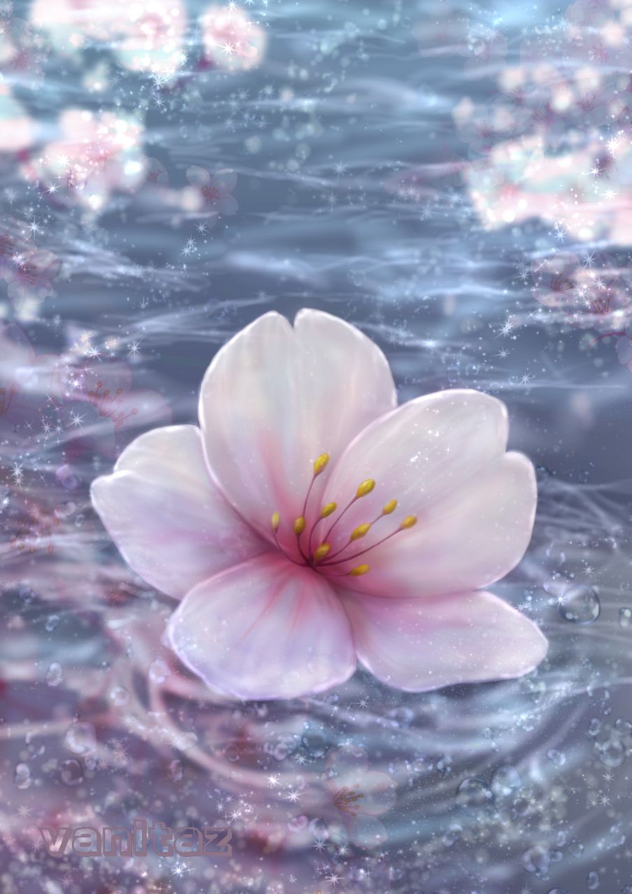 落花流水 Illust of ｳﾞｧﾆﾀｽﾞ-Vanitaz CherryBlossomIllustrationCampaign 描いてみた sakura
