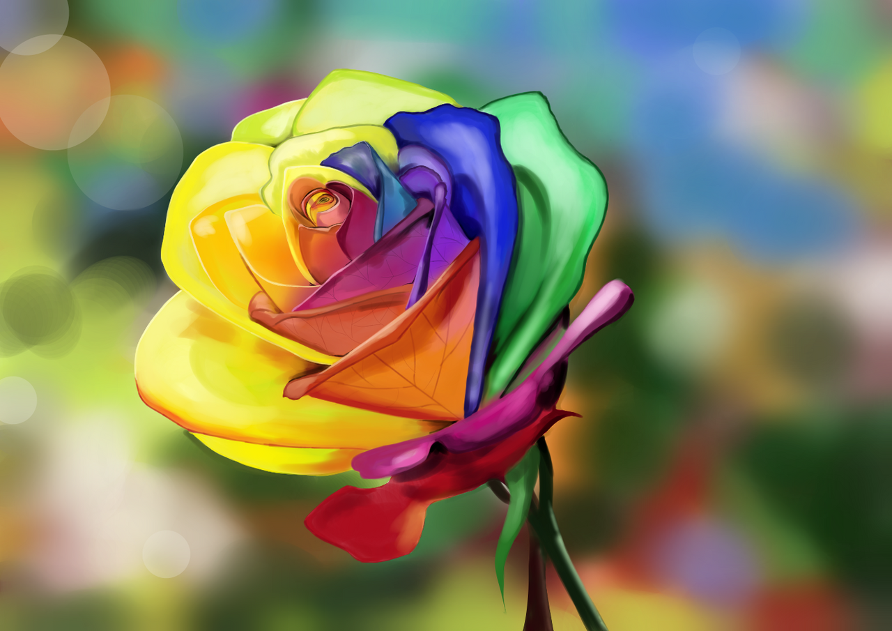 Rainbow rose Illust of Milly medibangpaint