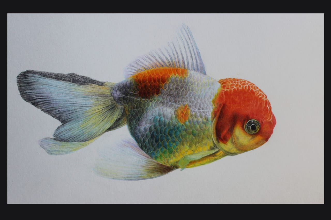 夢の金魚 Illust of jcd March2021_Creature