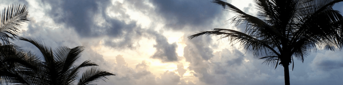 なんじゃこれ きゃめろん ガルシア家 S Topic Art Street