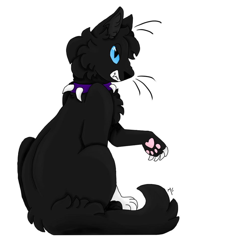 Scourge Midnight イラスト Art Street アートストリート