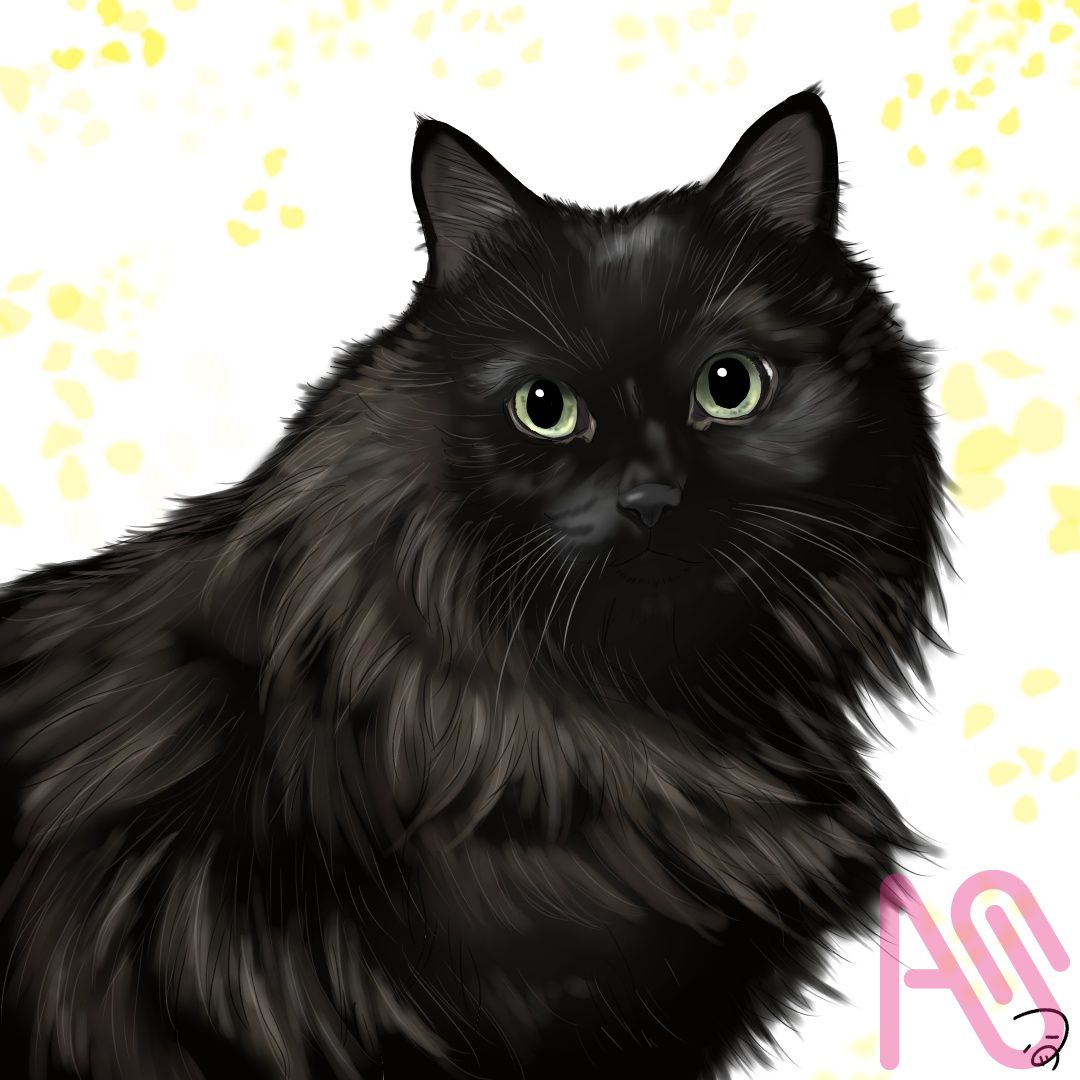 9bfccb12-0c54-420d-b779-