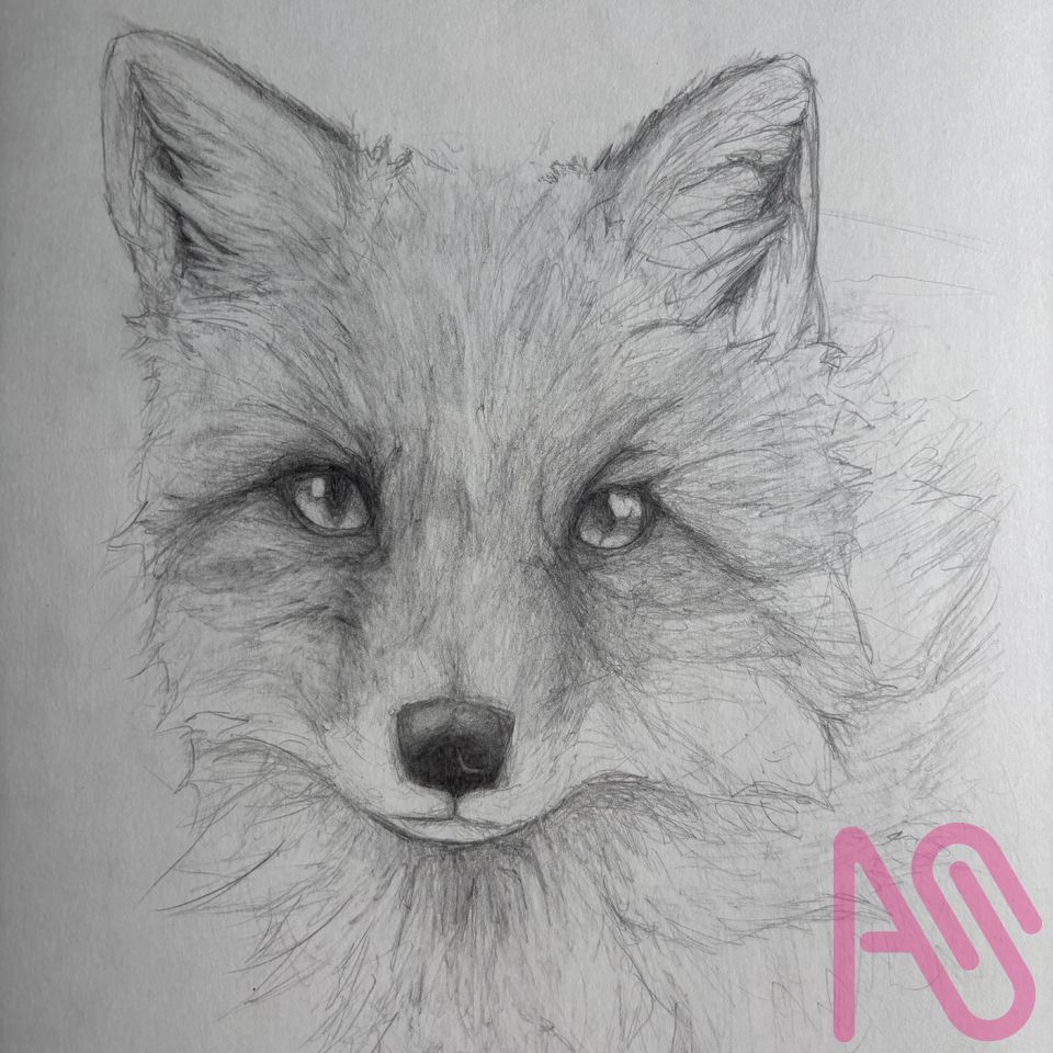 Realistic red fox Illust of xSwift_Snow fox Realistic