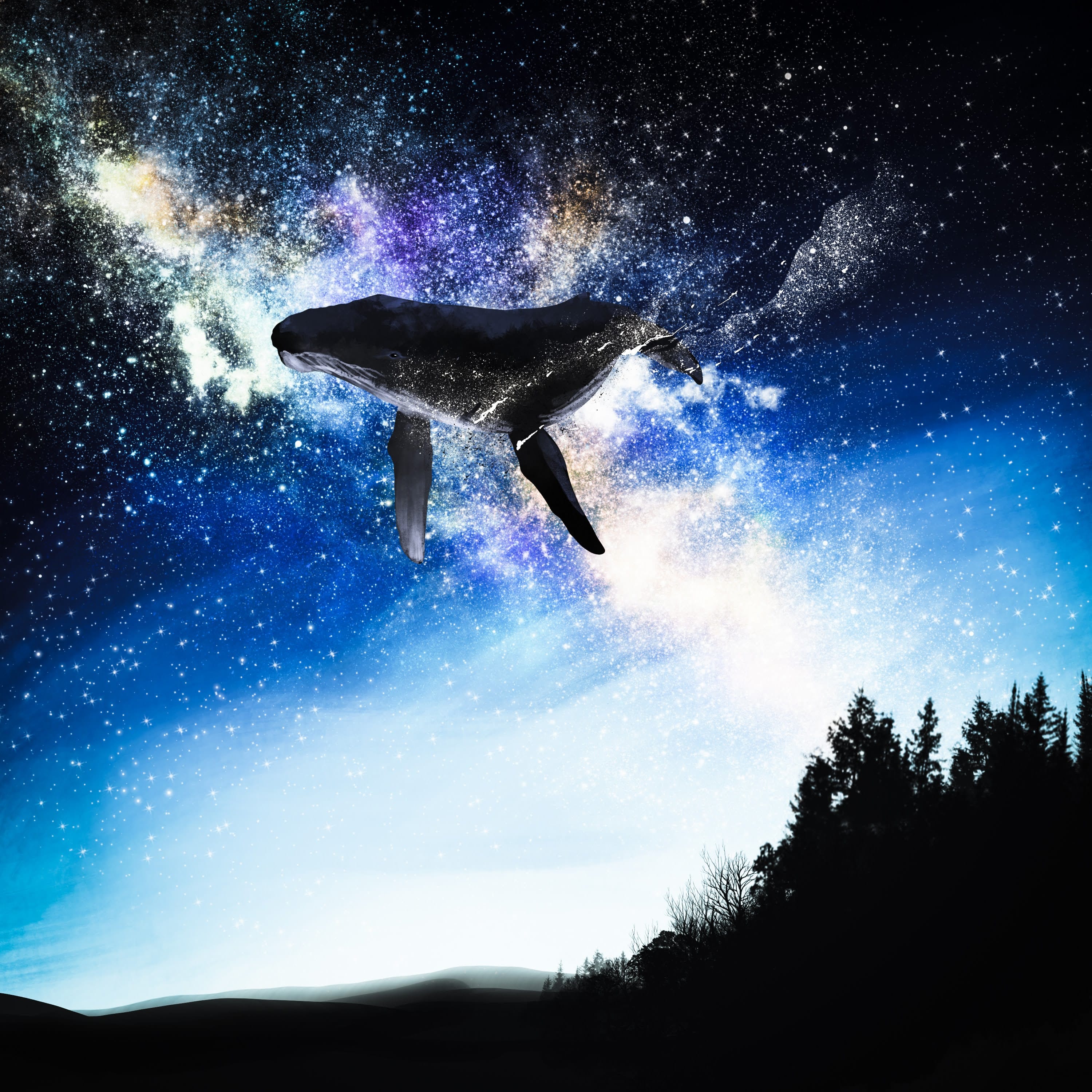 飛ぶ鯨 星海 魚 - Illustrations ART street