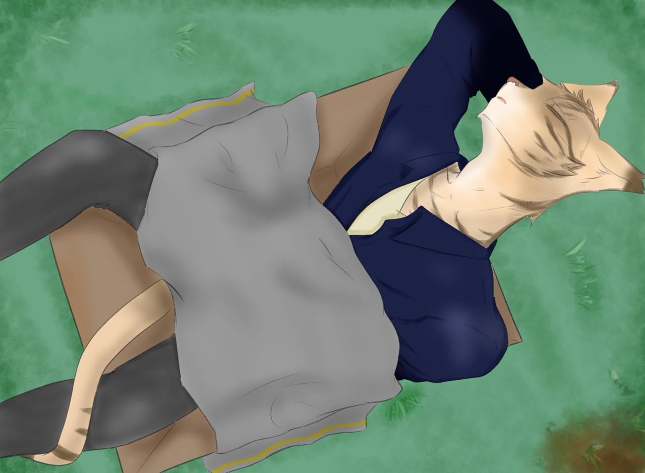 箱入り 瀬雨 イラスト Art Street アートストリート