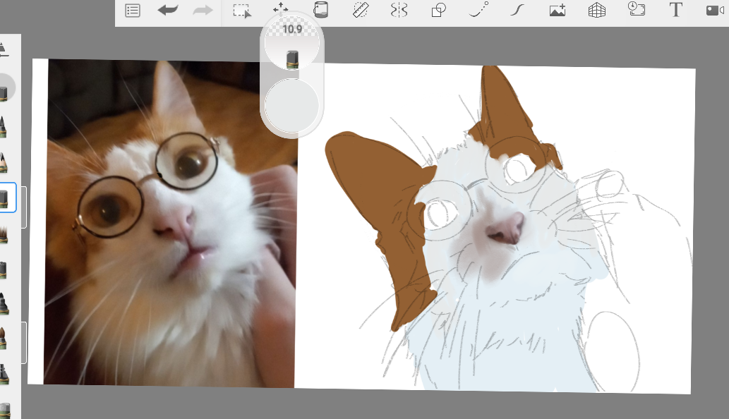 My friends cat punkin Illust of 🔪♠♣GLB♣♠🔪 animal cat request glasses drawing cute WIP Pumkin