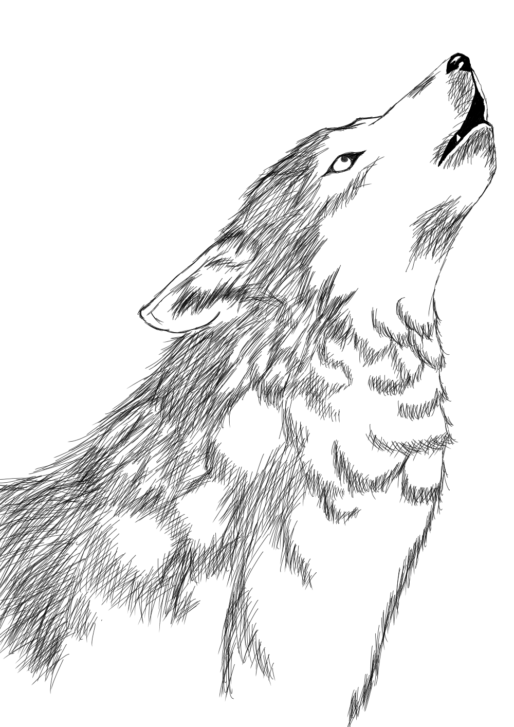 fe110033-b5f1-4dae-a620-