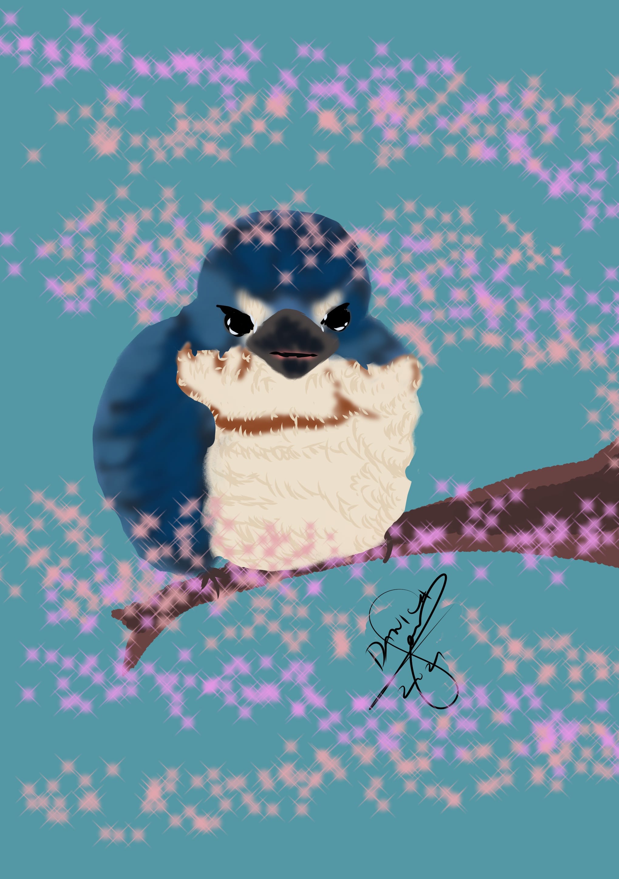 Birdie JanDan - Illustrations ART street