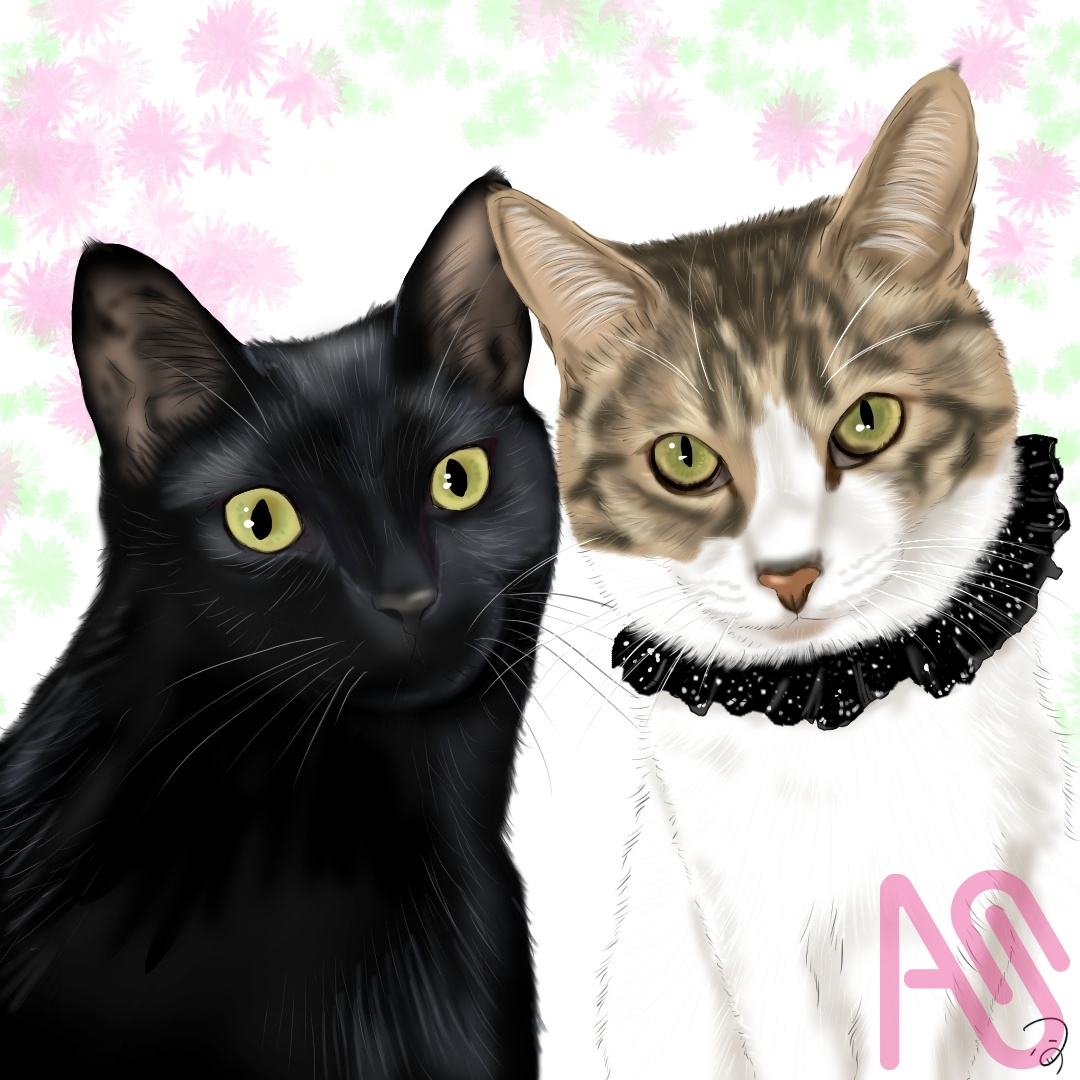 くろねこさんときじしろさん。 つぅ - Illustrations ART street