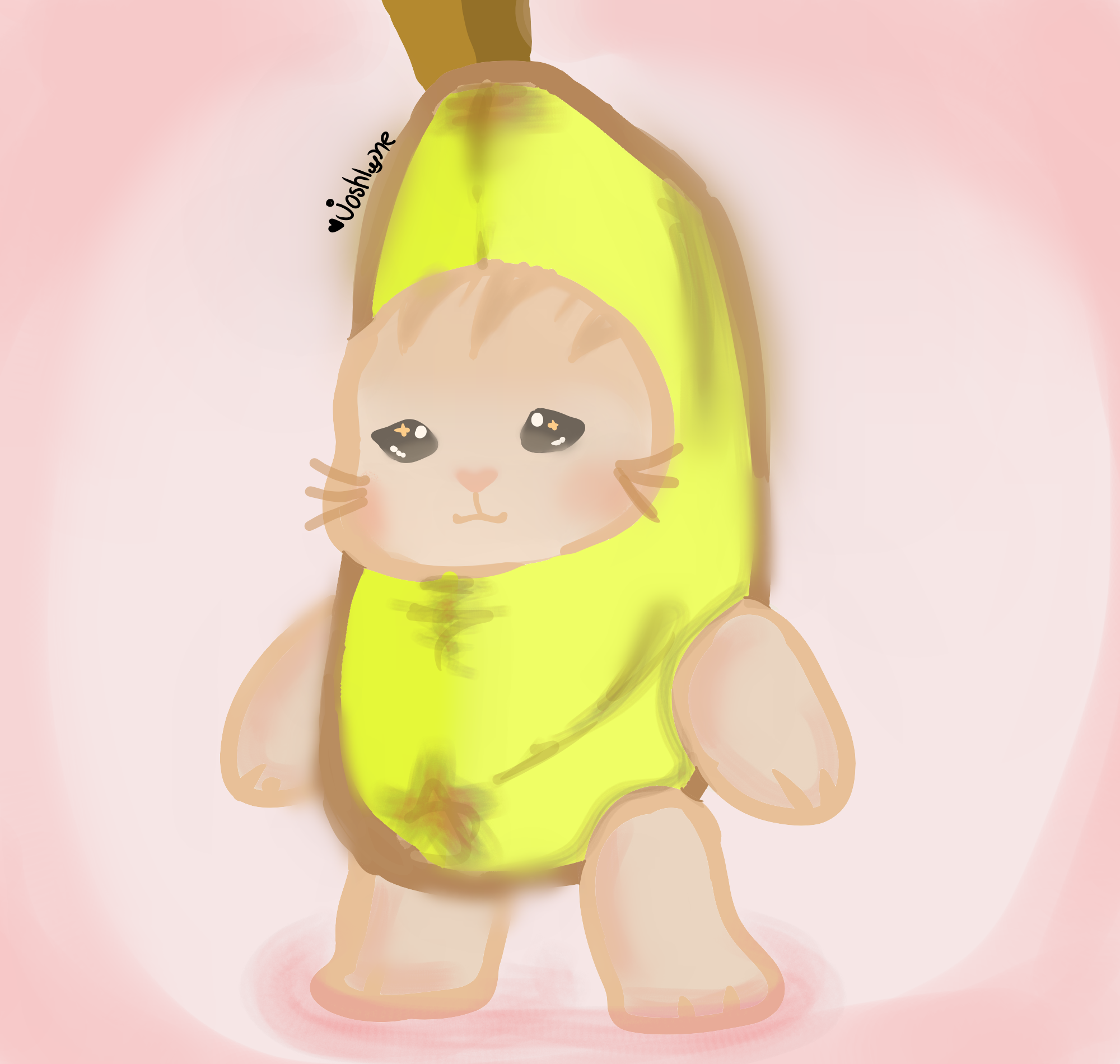 Cat banana joshly Illustrations ART street