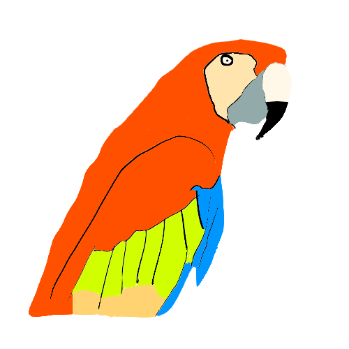 金剛的鸚鵡 Jonathanqoo イラスト Art Street アートストリート