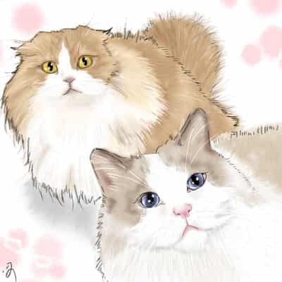 もふもふさんたち つぅ イラスト Art Street アートストリート