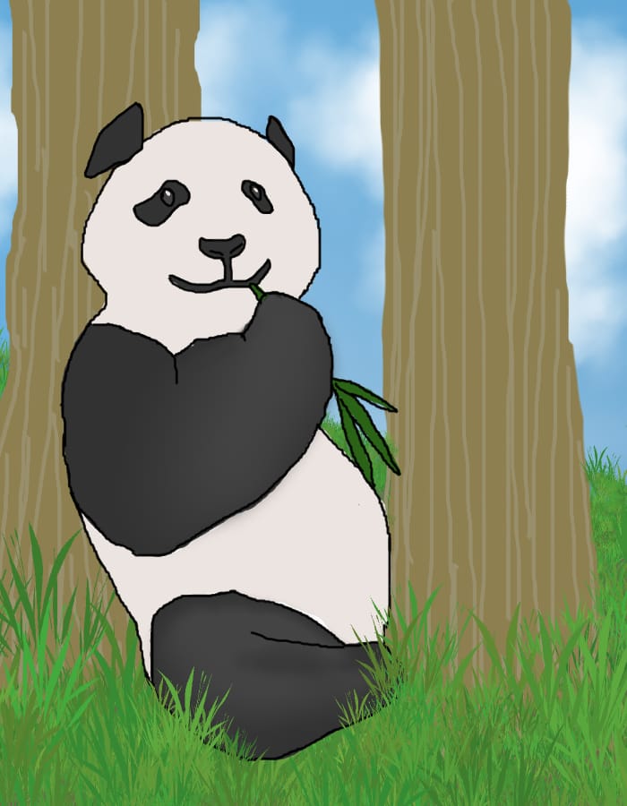 Panda Mifukako Illustrations Art Street