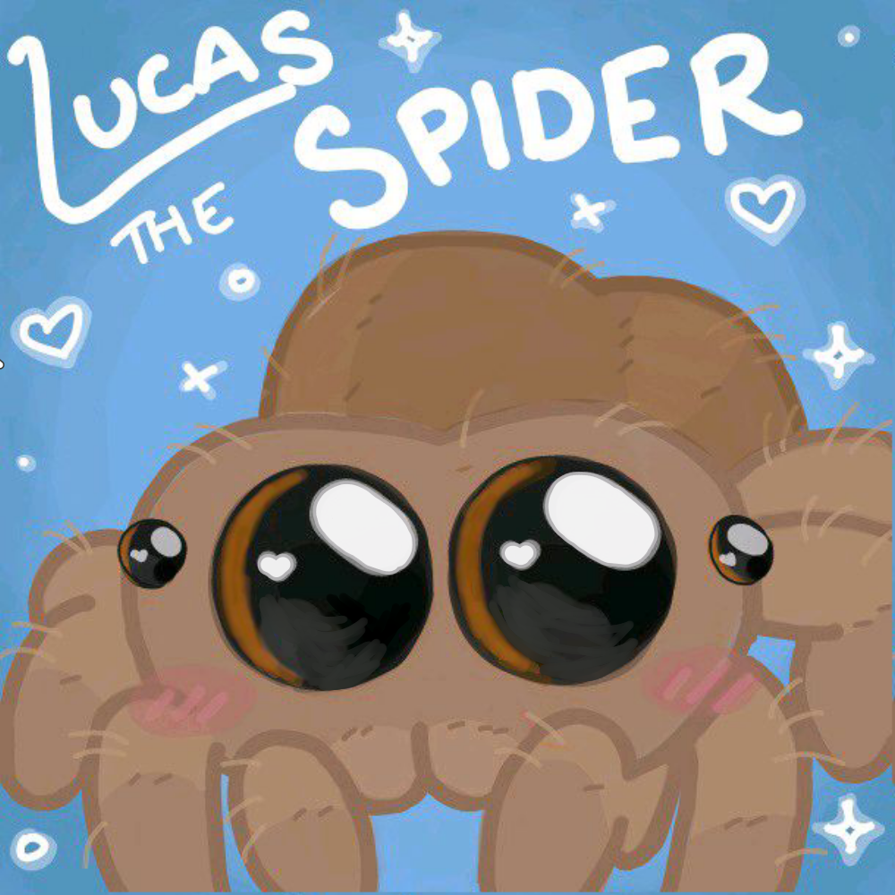 Lucas the Spider 🕷 Ruby Potter - Illustrations ART street