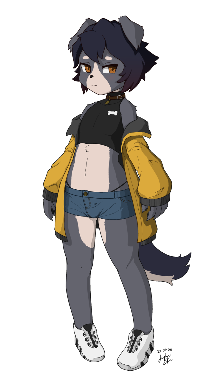 dog furry Blossom Illustrations ART street