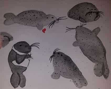 Seals Are Good For The Soul Oasisisles 插畫art Street