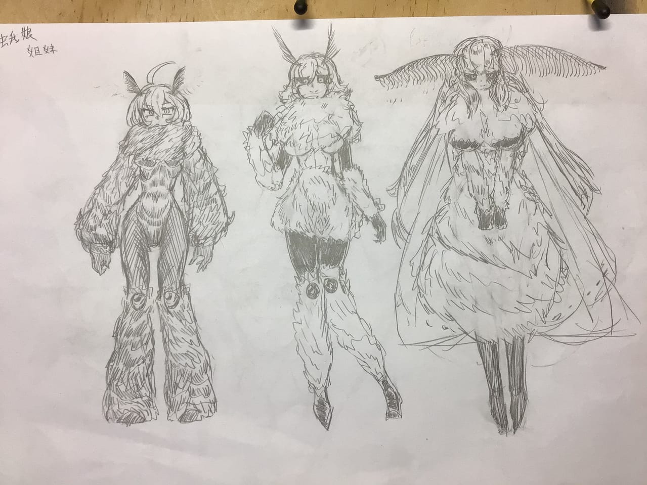 蛾 Jaycreep イラスト Art Street アートストリート 蛾 Jaycreep イラスト Art Street アートストリート