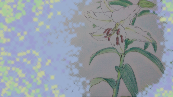 カサブランカ 嵯峨鼠 イラスト Art Street アートストリート