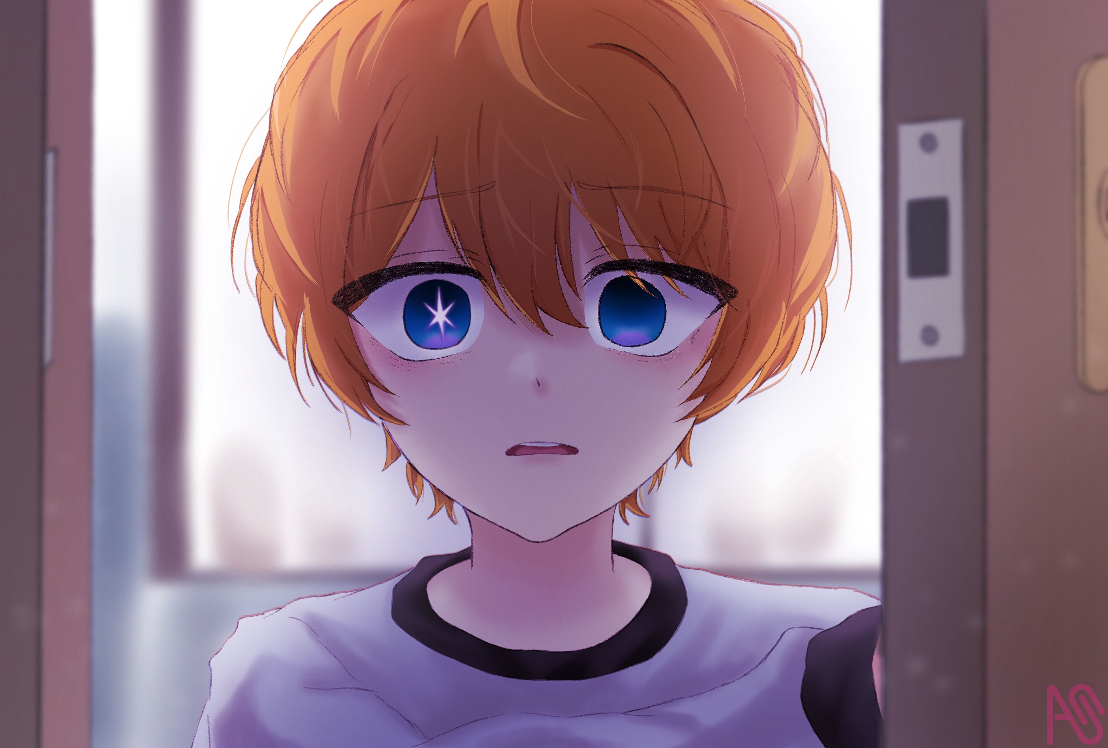 Hoshino Aqua 10ducks - Illustrations ART street