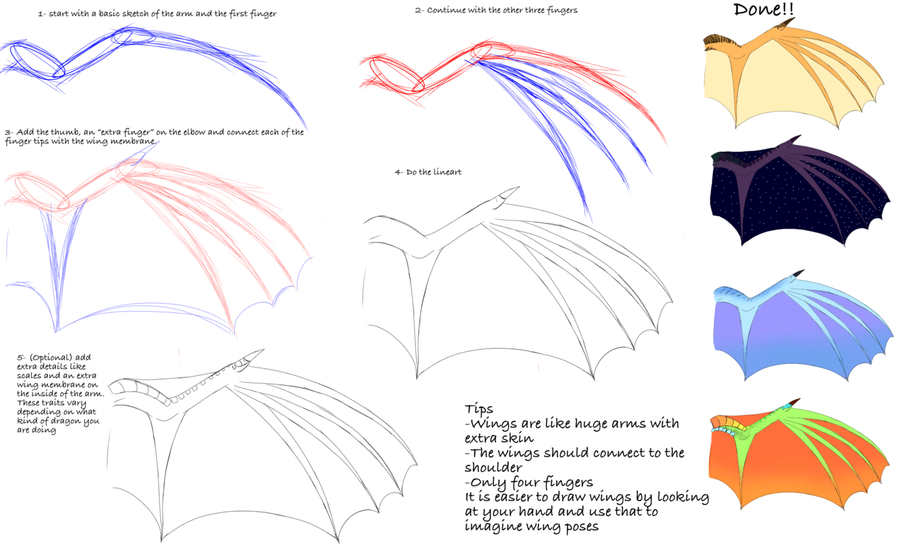 How To Draw A Dragon Wing At Ellis Shepherd Blog