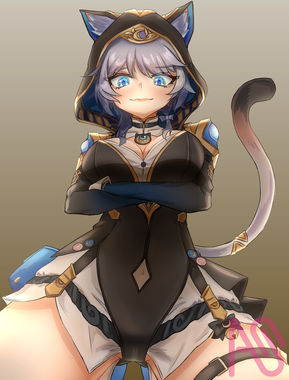 beeg cat ⭐⭐⭐ Illust of MinG girl honkaistarrail