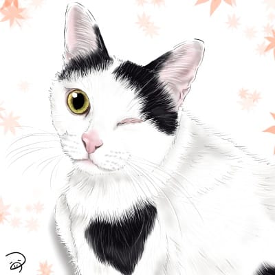 しろくろのういんくちゃん つぅ イラスト Art Street アートストリート