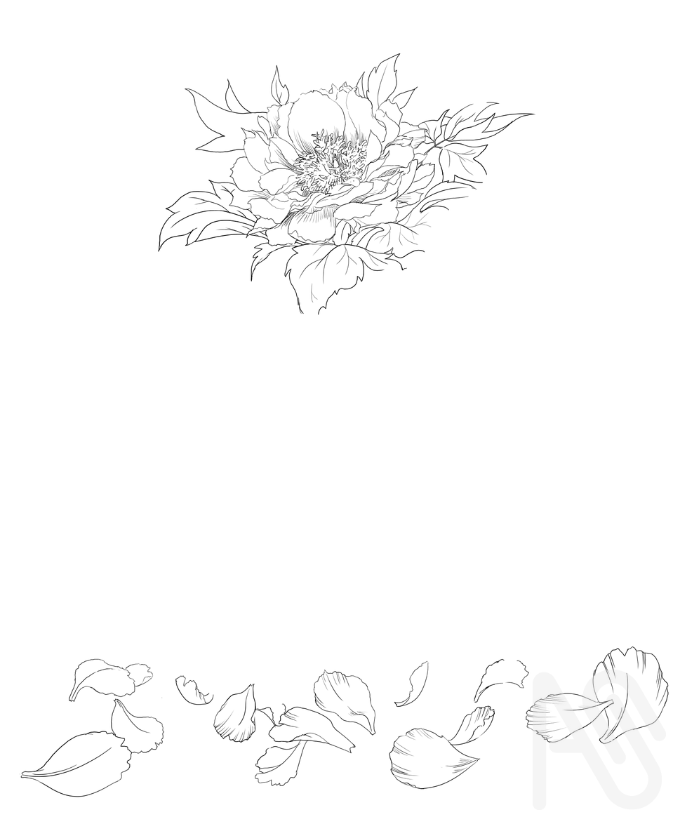 牡丹素材 Illust of 吾桑 フリー素材 Peony freematerial