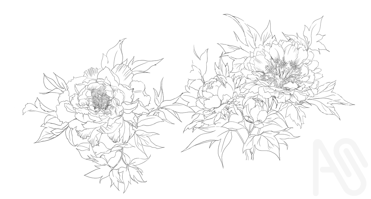 牡丹素材 Illust of 吾桑 フリー素材 Peony freematerial