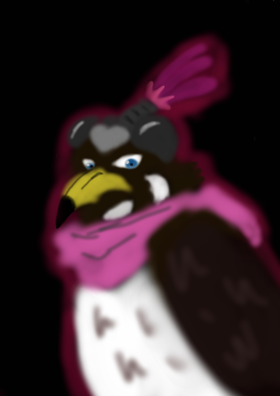 ペットショップ Kaho F Illustrations Art Street