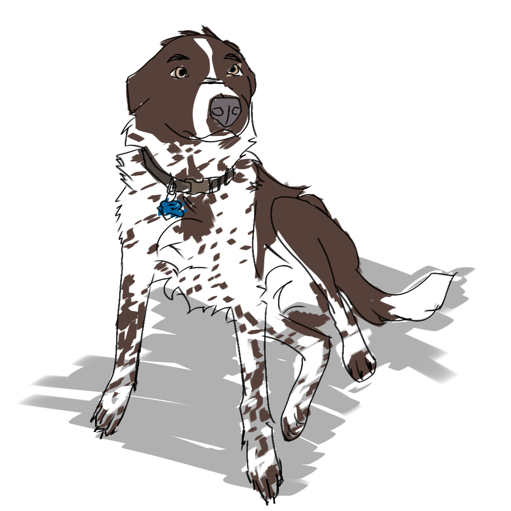 Mein Hund VERRUCKT Illustrations ART street