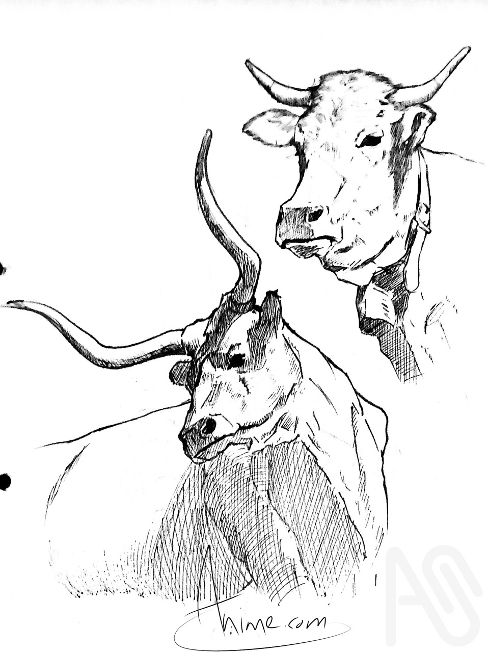 Mhuka 3 Illust of Warren animal illustration traditionalart analog