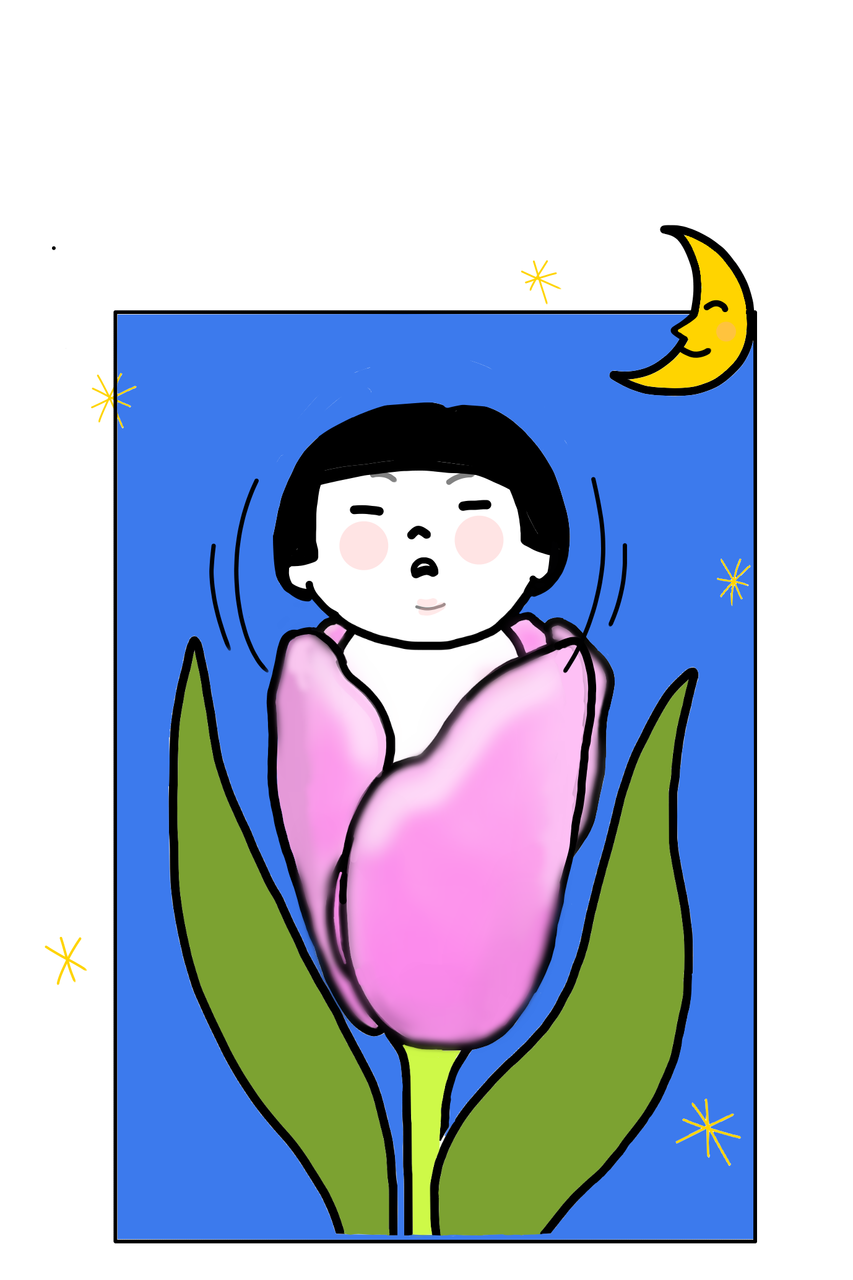 グースカ Miyuci Illustrations Art Street